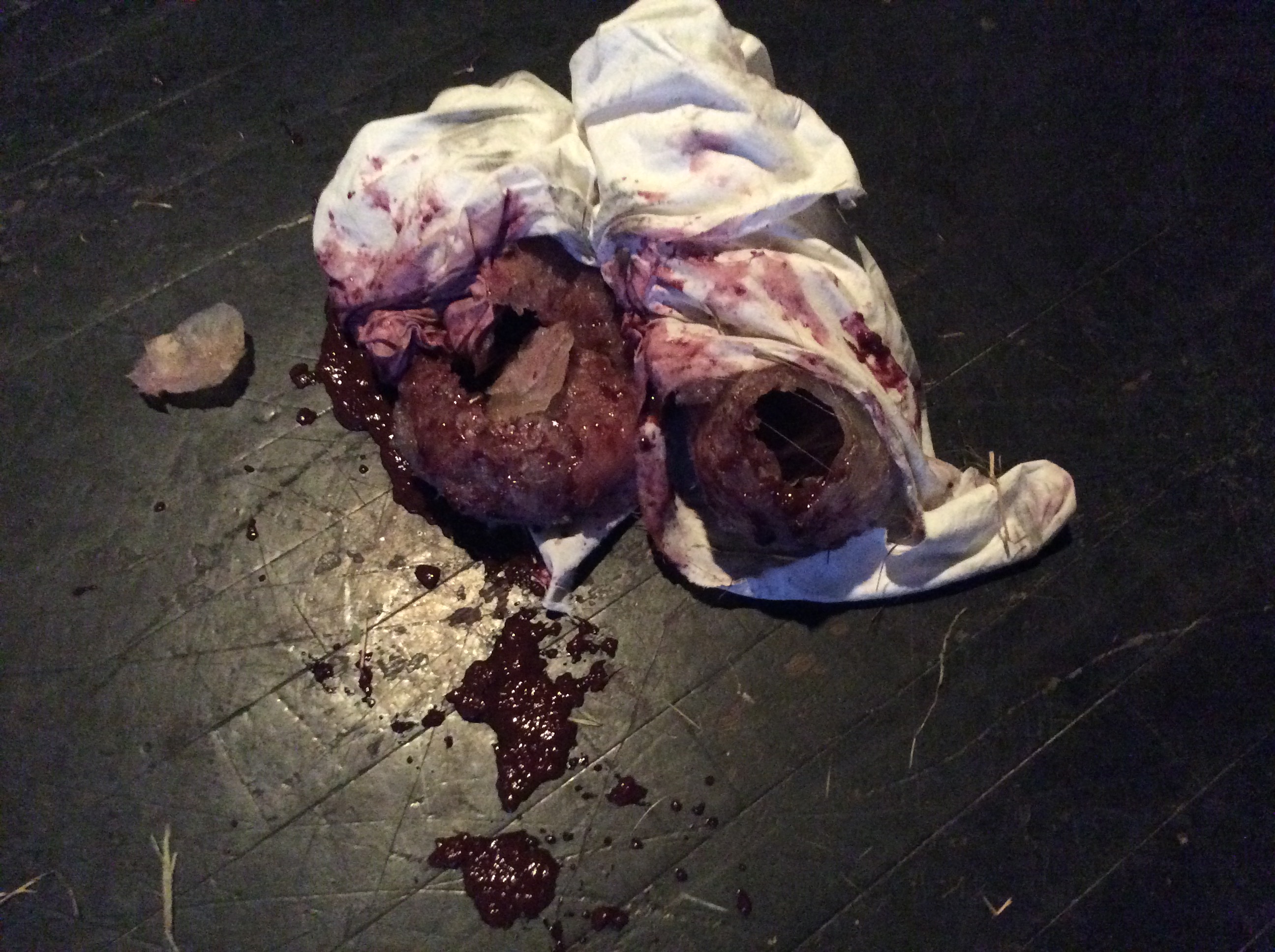 Remains of Medea Material performance